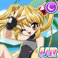 ドルフィンドリーム