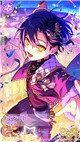 限定 [SSR] 【ツインズ・フライング】ホワイト