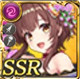 限定 コチョウノヒメ