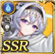 限定 【波羅蜜】バラ